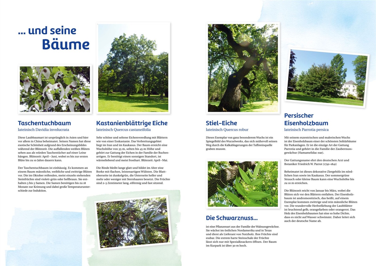 Bad Eilsen Broschüre Seite 6